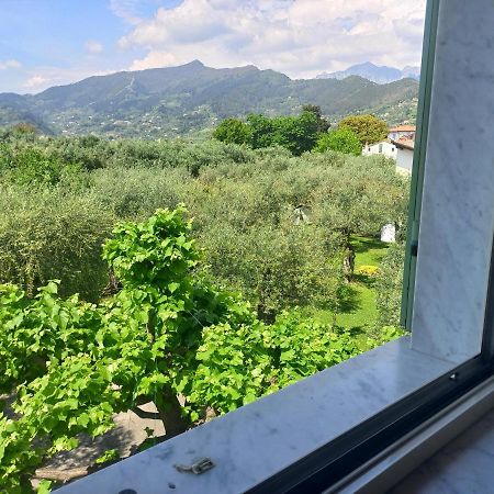 La Madonnina Bed & Breakfast Querceta Eksteriør bilde