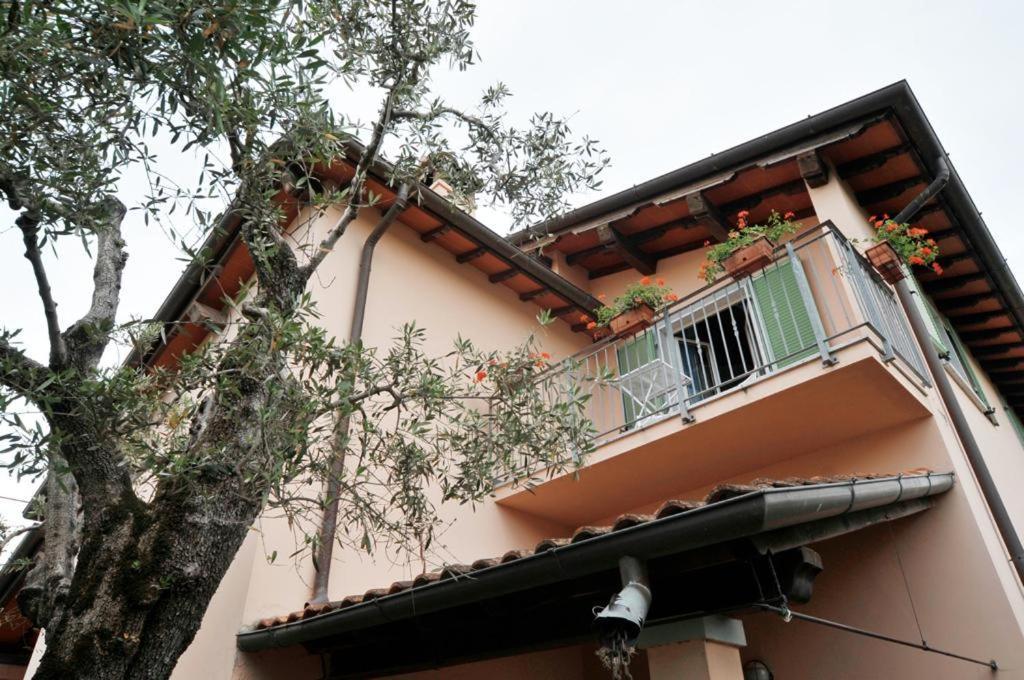 La Madonnina Bed & Breakfast Querceta Eksteriør bilde