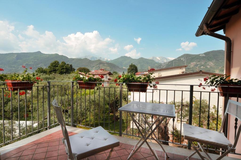 La Madonnina Bed & Breakfast Querceta Eksteriør bilde
