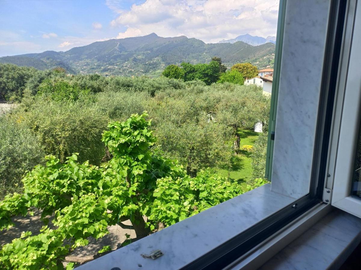 La Madonnina Bed & Breakfast Querceta Eksteriør bilde