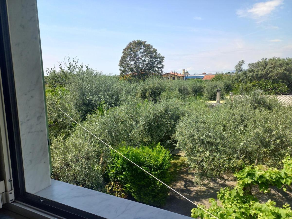 La Madonnina Bed & Breakfast Querceta Eksteriør bilde